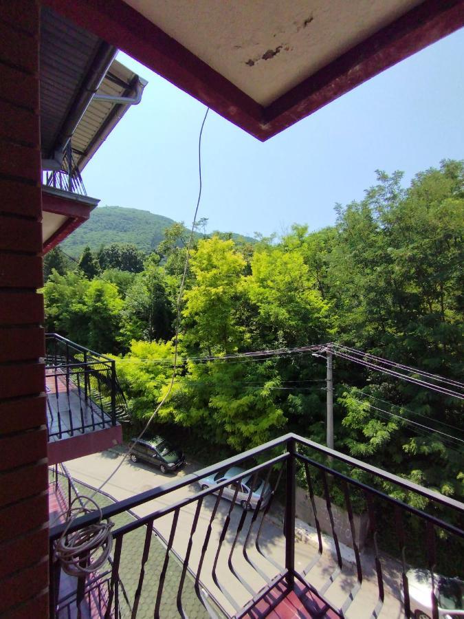 Vila Marko Нишка-Баня Экстерьер фото